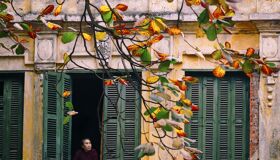 Start your visa-free journey with Vietnam’s vibrant glow